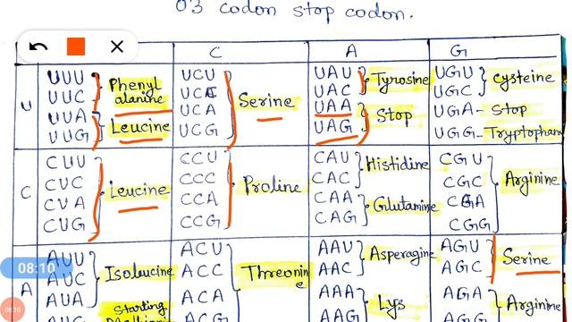 Codons (genetics) смотреть онлайн