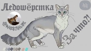 Ледошёрстка: трагическая, но героическая судьба Кошки-Воительницы.