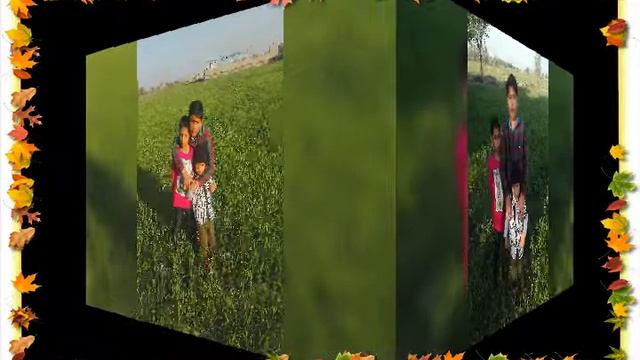 SAIN Hafiz Ali Akbar Qadri Muhammad Amin Qadri