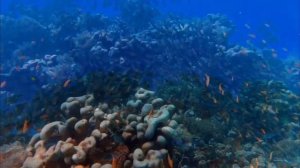 медитация силы