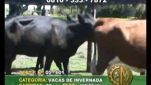 PH - 05-601 смотреть онлайн