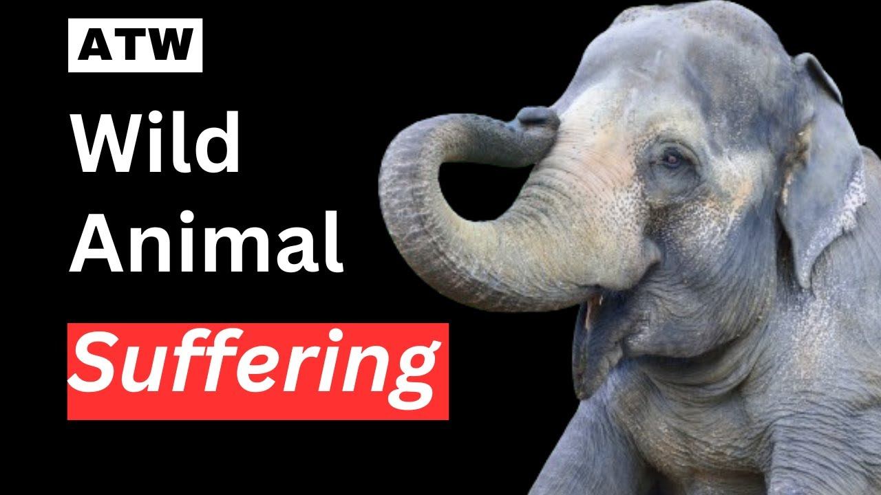 Antinatalism This Week | 21st April 2024 #antinatalism #antinatalist смотреть онлайн