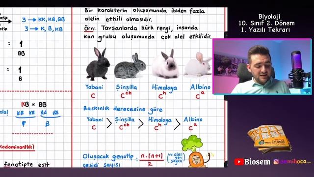 10. Sınıf 2. Dönem 1. Yazılı Tekrarı 9. sınıf biyoloji yazılı sınavı hazırlık + PDF смотреть онлайн