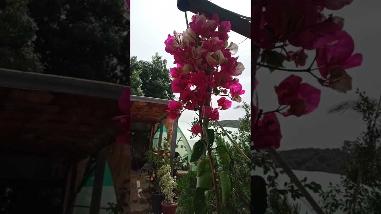 ٨ أبريل، ٢٠٢٤ смотреть онлайн