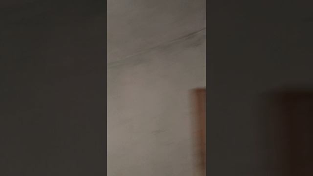 Тера Булгари / къща за ремонт с голям двор на централно място в село Рударци смотреть онлайн