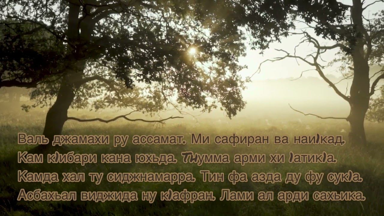 “kuntu maitan” самый красивый нашид с текстом (islamic nasheed) смотреть онлайн