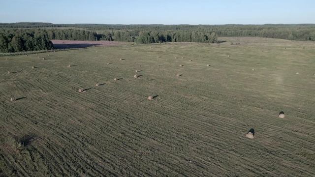 Лето 2021 смотреть онлайн