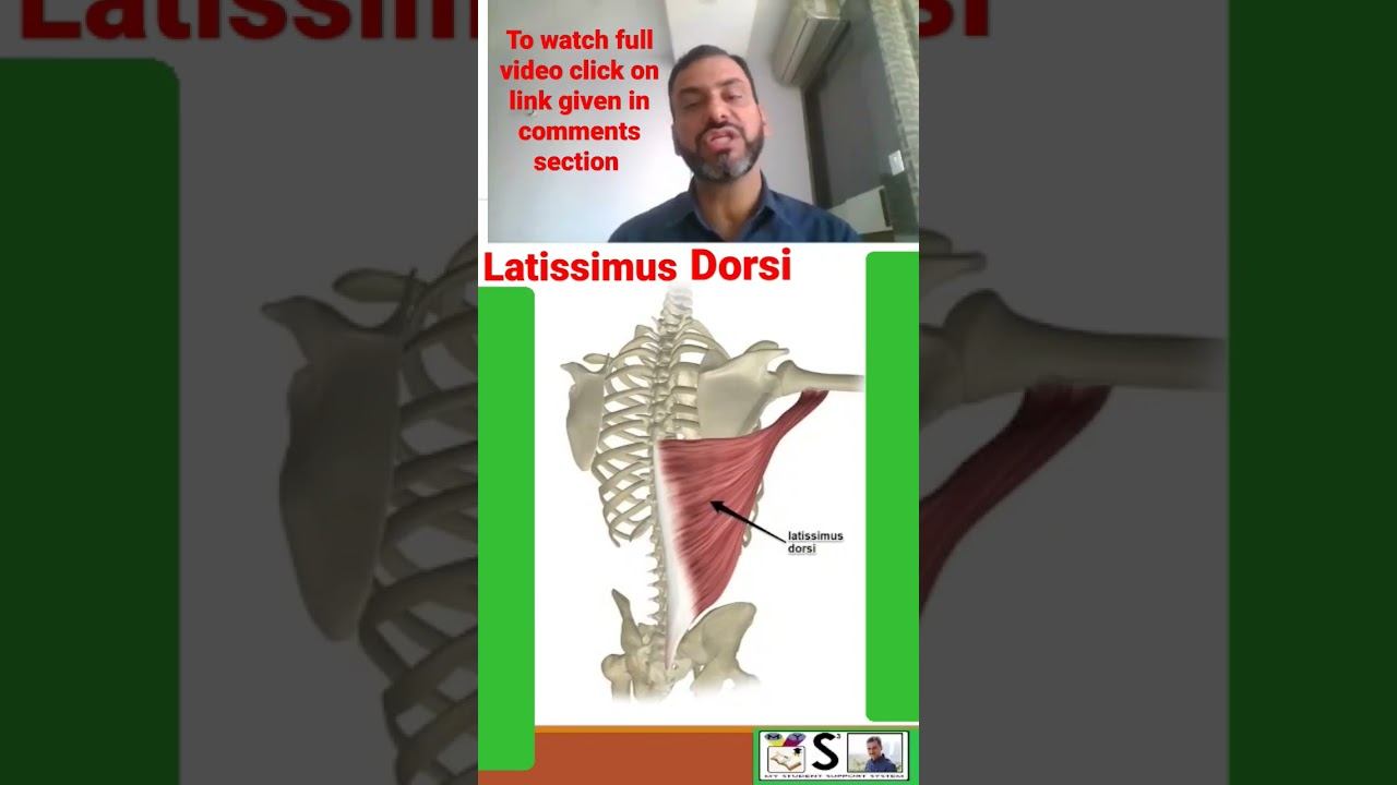 #muscle of upper limb. to watch full video click on link given in comments section смотреть онлайн