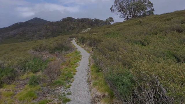 Snowie Alpine Walk 18.47 KM