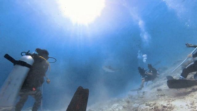 Diving with Fuvahmulah Dive School. Fuvahmulah, Maldives смотреть онлайн
