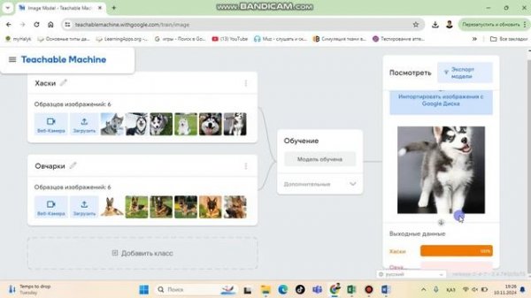 Обучение нейронной сети в Teachable Machine