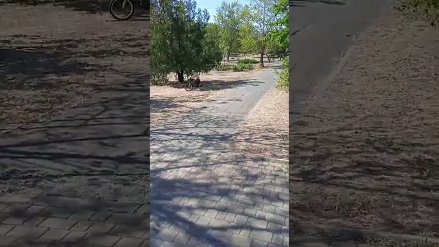 Цикл передач: УНИВЕРСАЛИИ АРХИТЕКТУРЫ ЧЕРНОМОРСКА,САКРАЛЬНОСТЬ ЦЕНТРА ПАРКА.В.Качура,мирУниверсолог смотреть онлайн