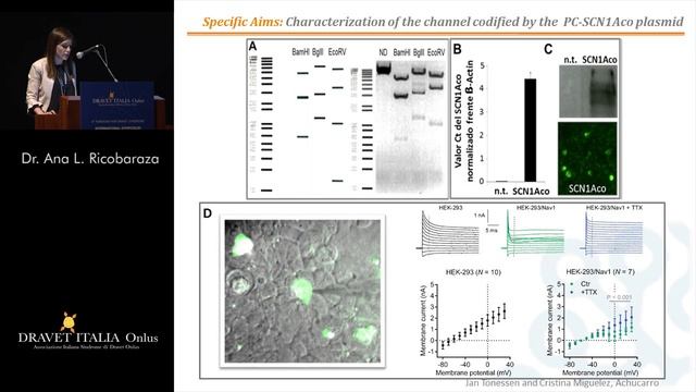 23. Dr. Ana L Ricobaraza - Gene therapy for Dravet Syndrome: a proof of concept смотреть онлайн