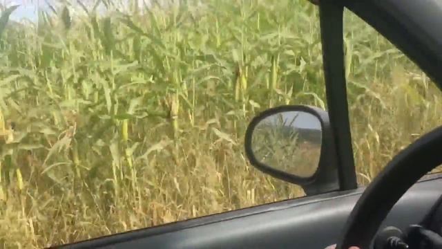 Блогер с нуля часть 5 смотреть онлайн