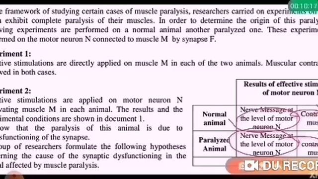 4.2. Neuro Synapse - Exercise смотреть онлайн