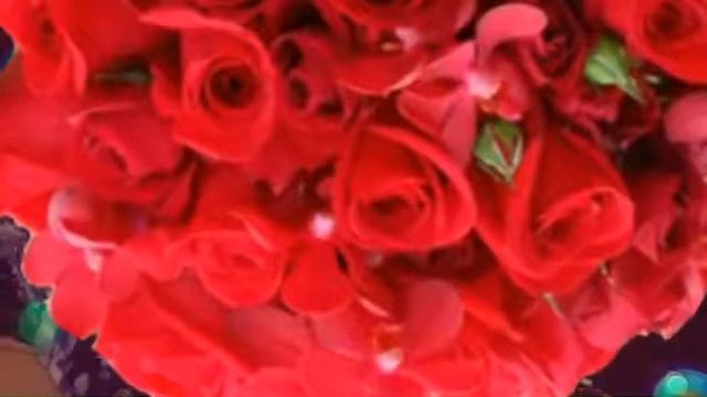 Амина🥳 смотреть онлайн