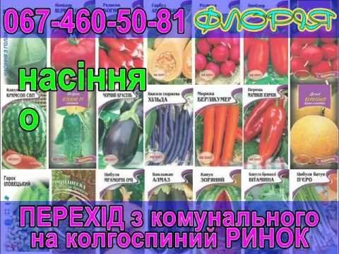 ТРН Реклама на мониторах Нежин смотреть онлайн