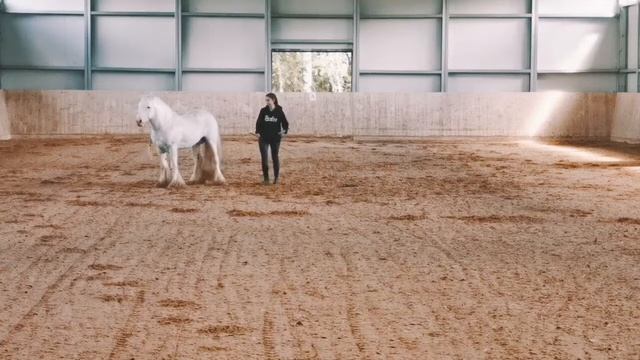 Произв Арина и Титан. 3 уровень смотреть онлайн