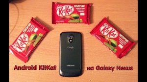 Android 4.4 KitKat на Galaxy Nexus