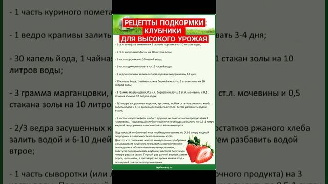 #дача #огород #советы #полезныесоветы #дачныесоветы смотреть онлайн
