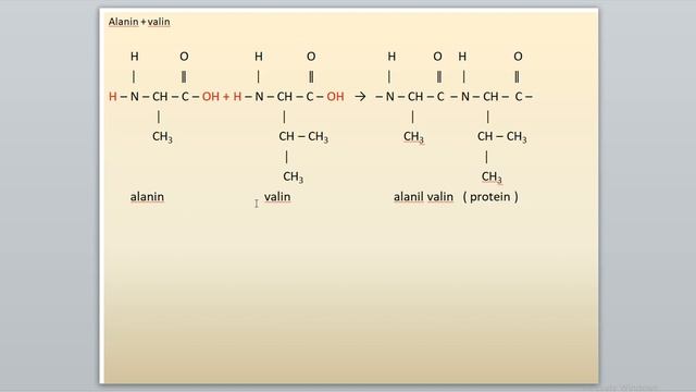 ASAM AMINO DAN PROTEIN