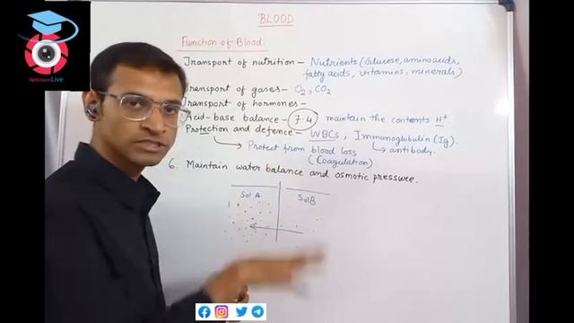BLOOD part 1 (Bengali) | Human Physiology | For Medical, Paramedical & Nursing students смотреть онлайн