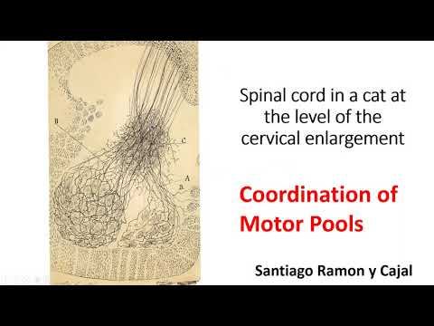 Reggie V. Edgerton смотреть онлайн