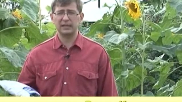 На что обратить внимание в августе? Это важно! смотреть онлайн
