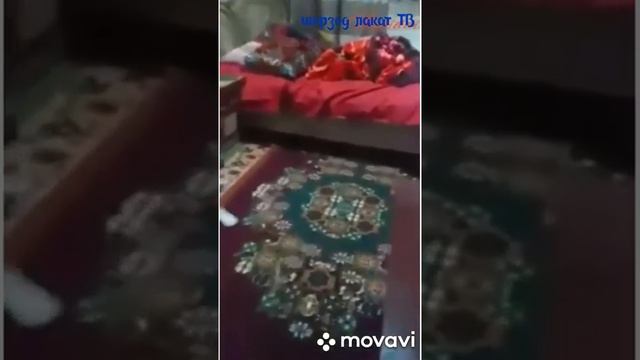 ЗАПАЛ 18 ЁШ 2 ОЙЛИК КЕЛИН КУЛГА ТУШТИ смотреть онлайн