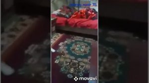 ЗАПАЛ 18 ЁШ  2 ОЙЛИК КЕЛИН КУЛГА ТУШТИ