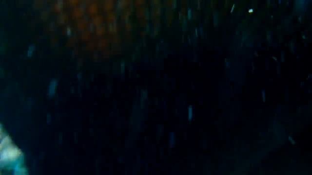 Египет 2015/ Dessole Seti Sharm Resort 4*