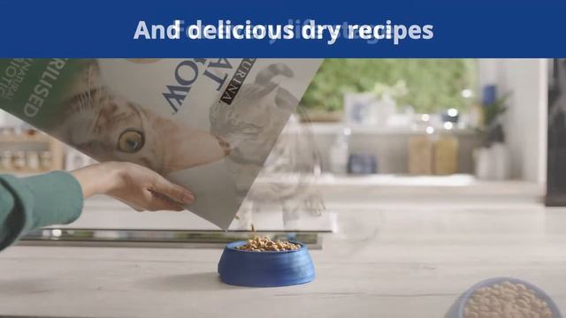 Purina® Cat Chow® - Helps protect your pet every day! смотреть онлайн