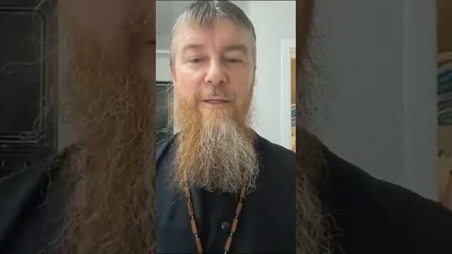 Правдивая история православного священника пожелавшего поучаствовать в СВО смотреть онлайн
