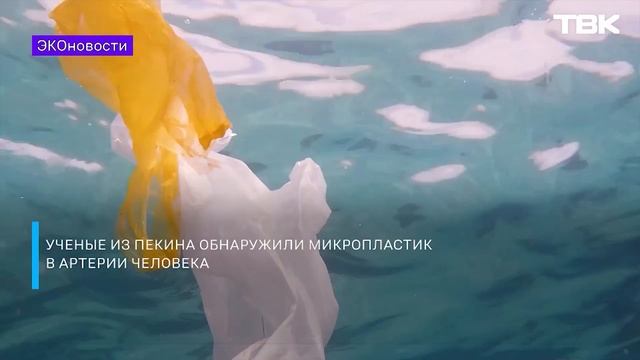 Микропластик в плаценте и производство экологически-чистого топлива в России / «Эконовости» смотреть онлайн