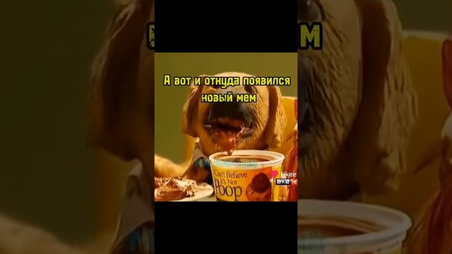 Прям как дерьмо. Нежное, аппетитное дерьмецо... смотреть онлайн