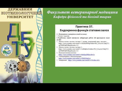 Фізіологія. Практика 37. Ендокринна функція статевих залоз смотреть онлайн