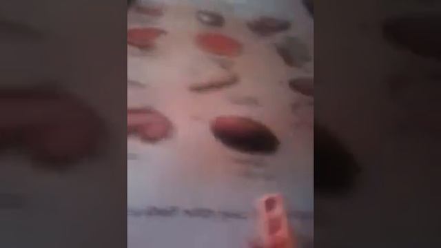 ГДЗ. Страница 4 упр. 3 английский язык 4 класс. смотреть онлайн