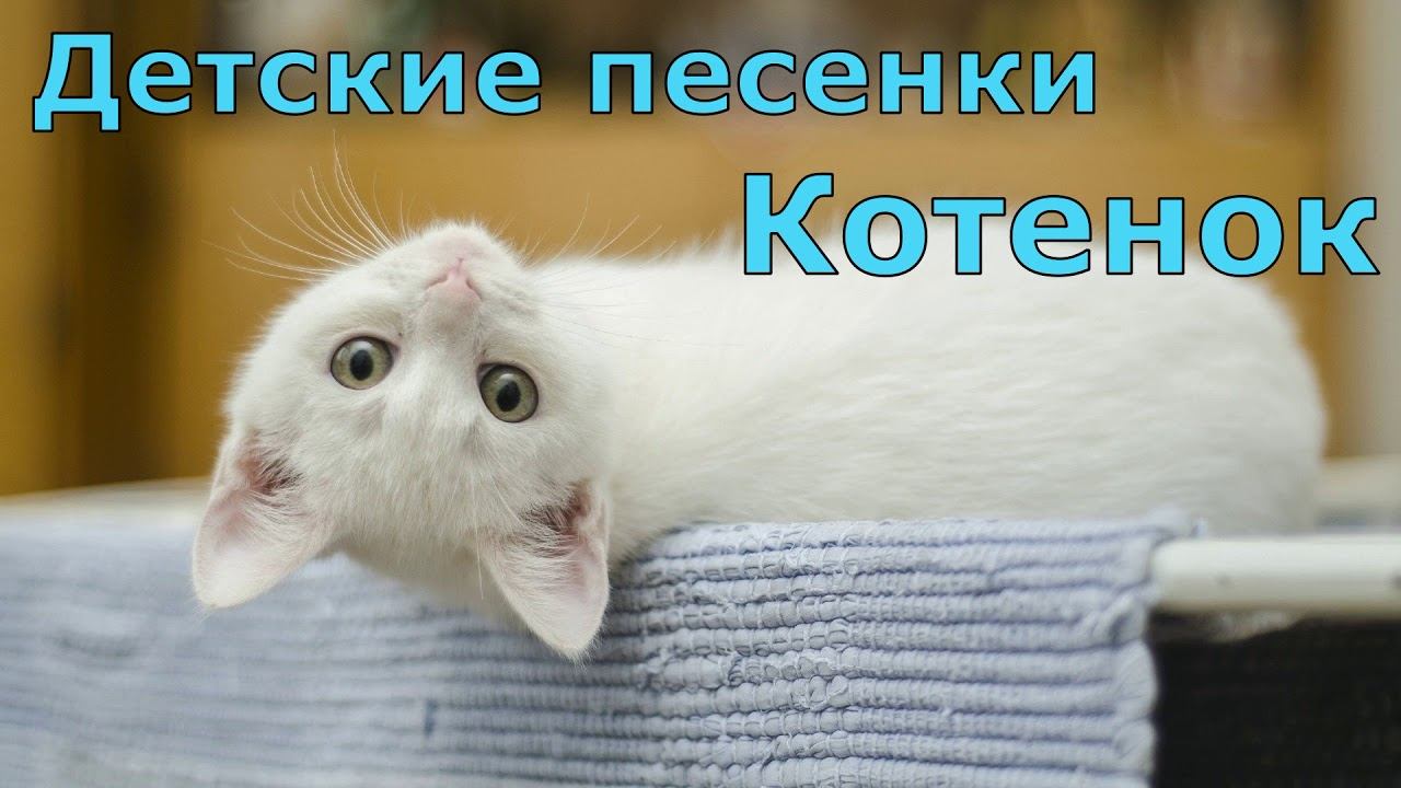 Детские песенки Котенок смотреть онлайн