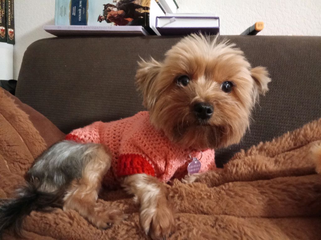 танец смотреть онлайн