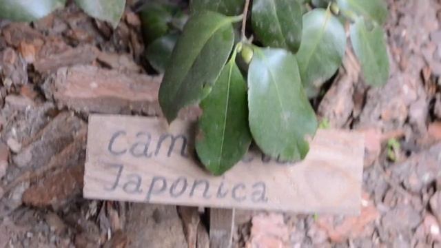 Инна Кохно // поездки смотреть онлайн