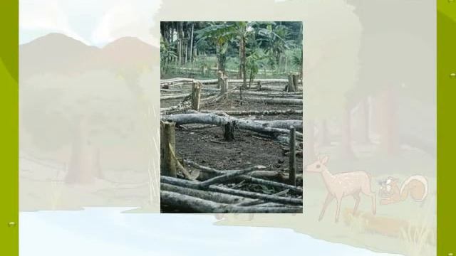 Extinct species of Animals смотреть онлайн