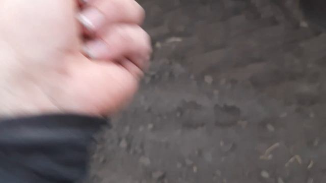 Посів сої завершено 2021 смотреть онлайн