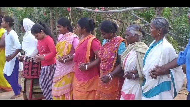 Baha jale maha//Santali Traditional Video//Majgeria Baha renwa jale....2024 смотреть онлайн