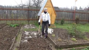 6 соток в середине ноября. О дровах, шпалерах и туалете )) 2019 год