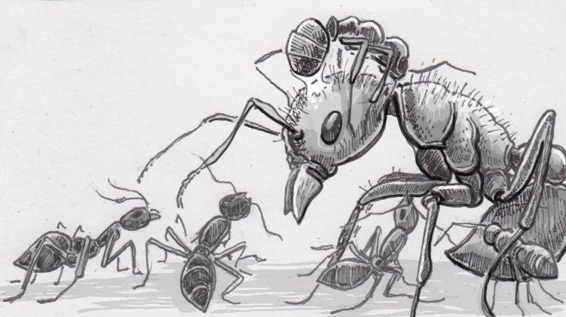 Вторая неделя