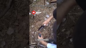 креосан ищет радиацию в Чернобыле #а4 #креосан