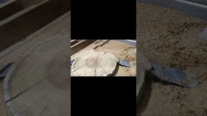 Выравниваем слэбы из дерева подручными средствами.