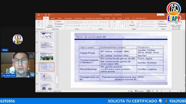 𝗖𝗨𝗥𝗦𝗢: CONTROL BIOLÓGICO DE FITOPATOGENOS EN LOS CULTIVOS “Trichoderma y Bacillus” смотреть онлайн