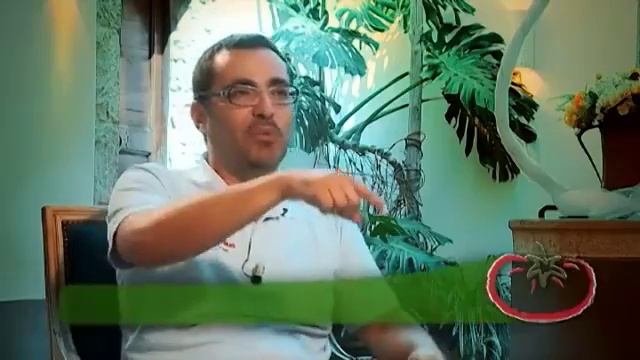 Massimo describes Abruzzo wines смотреть онлайн