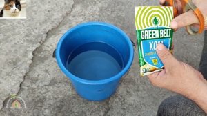 Чем обработать клубнику ранней весной от болезней